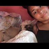 Polite Pet Sitter in Yonkers, New York