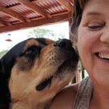 Loving and Dependable "Friends With Reena" l