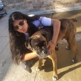 Mississauga Pet Sitter Searching for Job Opportunities in Ontario