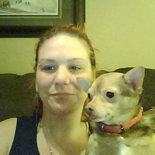 Pet Care Provider Melissa P's Profile Picture