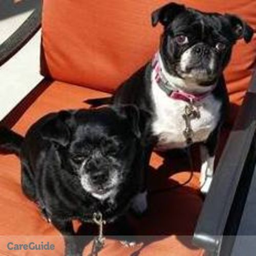 Pet Care Job Pamela H's Profile Picture