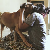 Dog-sitter in Toronto