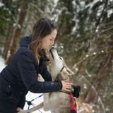 Barrie Animal Caregiver Available For Being Hired