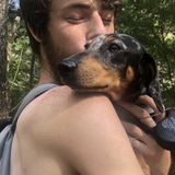 I love dogs and cats!