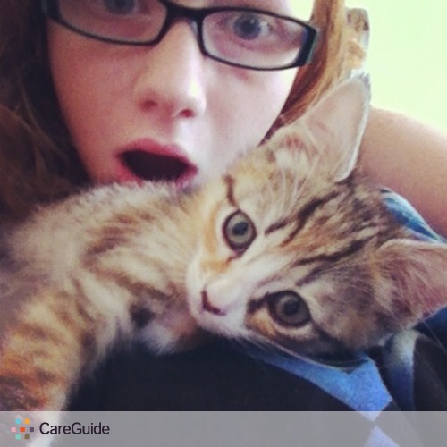 Pet Care Provider Karissa Kammen's Profile Picture