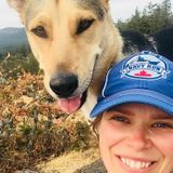 Hard Working and Playful Dog Walker Available Now!