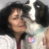 All Home and pet care Offered in Pinehurst