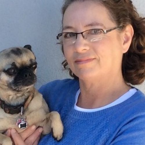 House Sitter Provider Silvia P's Profile Picture