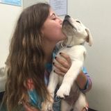 Dog walking and care!