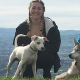 Experienced house sitter and professional house cleaner! Do you have pets? I would love to take care of them too!
