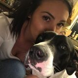 Trustworthy Animal Sitting Professional in Monterey, California