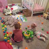 Talented Sitter Wanted Immediately