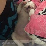 Excellent pet care provider!