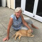 Available: Experienced, mature, adventurous freelance photojournalist and full-time house sitter in California