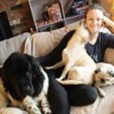 In-home visits for your furry and scaly friends!