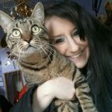 Carbondale Petsitter Interested In Being Hired