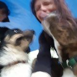 Mobile Dog Walker Looking For Job Opportunities in Alabama