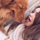 Dog Walking / Pet Sitting Available Now!