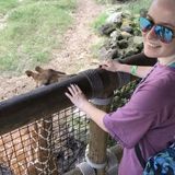Seasoned Babysitter in Bluffton