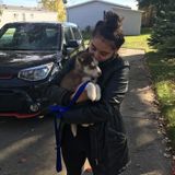 Hi, Im Maddy! Im looking for pet sitting and dog walking jobs!