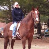 Housesitting & Pet & Large livestock care