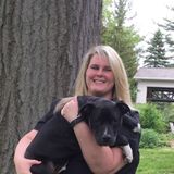 Veterinary Assistant available to pet/house sit!