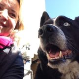 ASAP for pets, close to Misericordia place. EDMONTON,Alberta