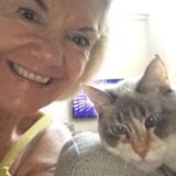 Experienced and Caring Ahwatukee Home/PET Sitter