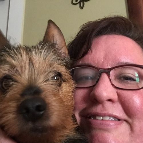 Pet Care Provider Tamara O's Profile Picture