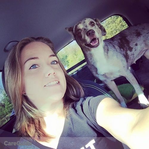 Pet Care Provider Aussie Mom P's Profile Picture