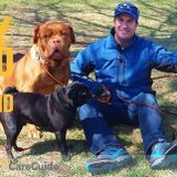 South Kansas City's Premier Dog Walking and Petsitting Service