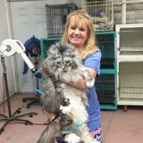 I am an experienced, caring, dependable pet lover, certified pet groomer and pet sitter with references