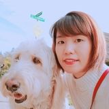 Rancho Cordova Pet Care Provider Looking For Work