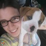 Pet Sitter Available