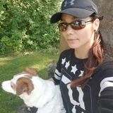 Available: Flexible Dog Sitter in Cambridge, Ontario