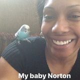 Available For a Home Carer Opportunity in Lakewood