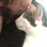 Love animals
