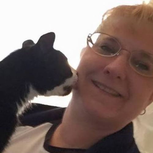 Pet Care Provider Tracy Stocker's Profile Picture