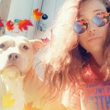 Hendersonville Pet Sitter