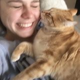 Looking For a House Sitter Opportunity in Easten Canada and the US