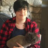 Available: Wonderful Petsitter in Chapel Hill