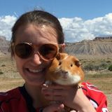 Lover of mammals, reptiles, rodents, amphibians & insects!