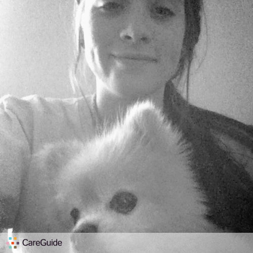 Pet Care Provider Kailey M's Profile Picture