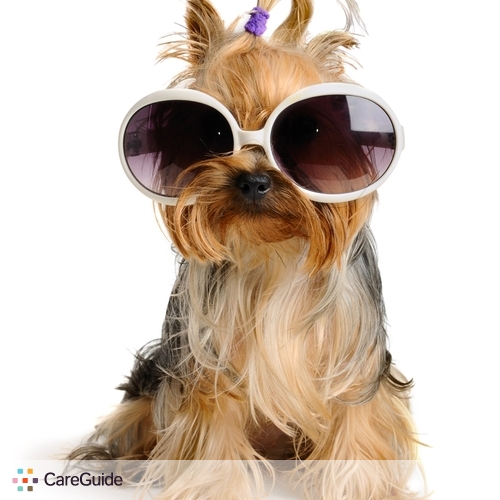Pet Care Provider Sierra W's Profile Picture