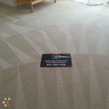 Carpet steam & shampoo cleaning