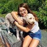 Hard Working Petsitter in Ridgewood, New York