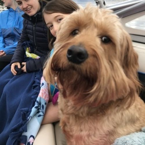 Pet Care Job Trish Zoccola's Profile Picture