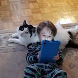 Loving Petsitter in Montreal, Quebec