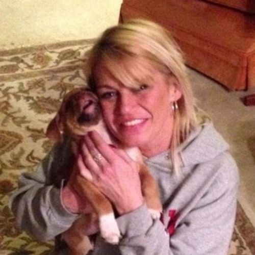 Pet Care Provider Amy D's Profile Picture
