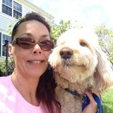 Stuck, Vacation , work or in a Emergency? Call Mamabear. For dog walking and pet sitting needs.